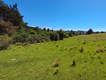 Terreno de 3.88 hectáreas.