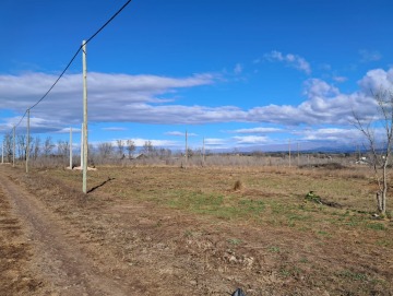 8 terrenos de 1.000m2 c/u