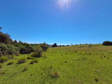 Terreno de 1.96 hectáreas.
