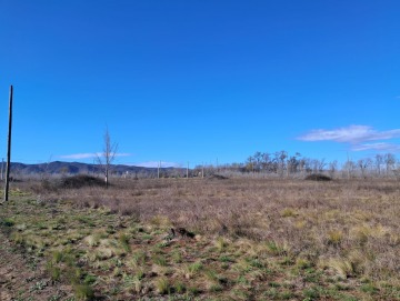 8 terrenos de 1.000m2 c/u