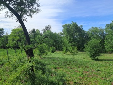 Terreno 480m2 Villa Gral Belgrano