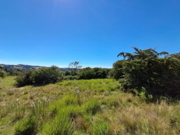 Terreno de 1.96 hectáreas.