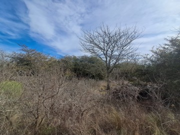 Capilla Vieja, Los Reartes. Terreno de 675m2.