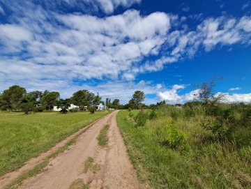 Terreno 1.000m2 Punto Claro