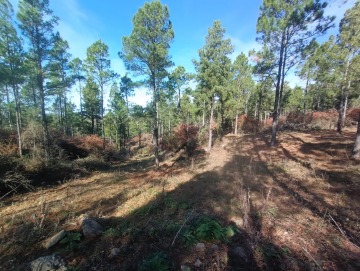 Hermoso terreno de 5000m2. La Cumbrecita.