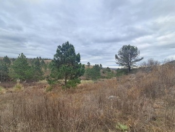 Terreno de 4109 m² en Loma del Tigre. Villa Berna.