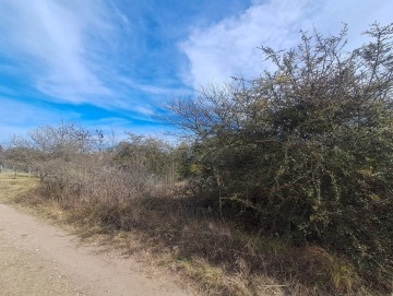 Capilla Vieja, Los Reartes. Terreno de 675m2.