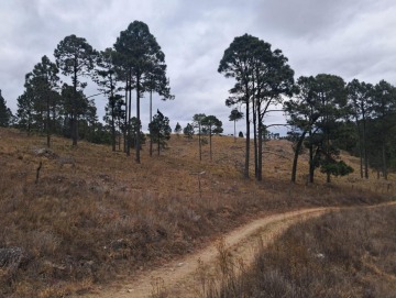 Terreno de 4109 m² en Loma del Tigre. Villa Berna.