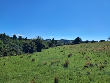 Terreno de 3.88 hectáreas.