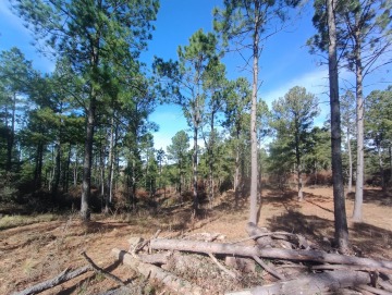 Hermoso terreno de 5000m2. La Cumbrecita.