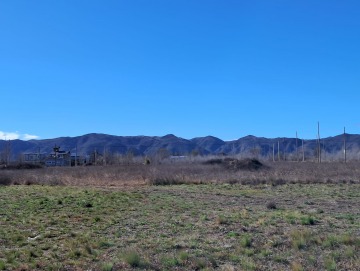 8 terrenos de 1.000m2 c/u
