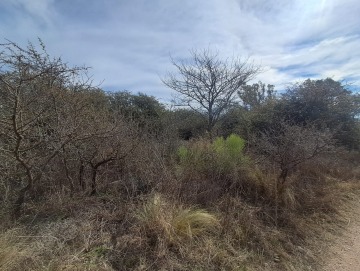 Capilla Vieja, Los Reartes. Terreno de 675m2.