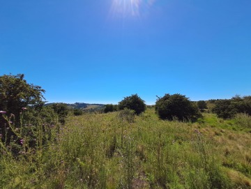 Terreno de 3.88 hectáreas en Villa Berna