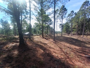 Hermoso terreno de 5000m2. La Cumbrecita.