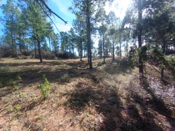 Hermoso terreno de 5000m2. La Cumbrecita.