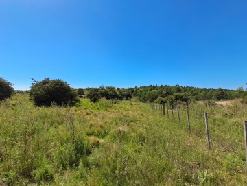 Terreno de 3.88 hectáreas.