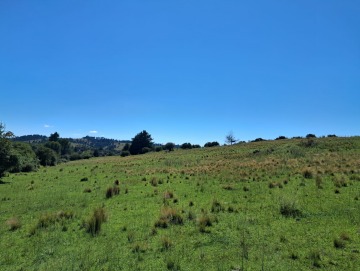 Terreno de 2.38 hectáreas.
