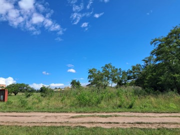 Terreno 1.000m2 Punto Claro