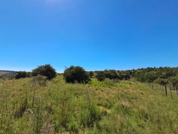 Terreno de 2.38 hectáreas.