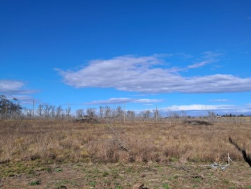 8 terrenos de 1.000m2 c/u