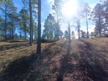 Hermoso terreno de 5000m2. La Cumbrecita.
