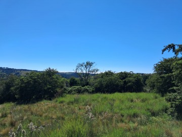 Terreno de 2.38 hectáreas en Villa Berna