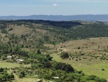 Terreno de 3.88 hectáreas.