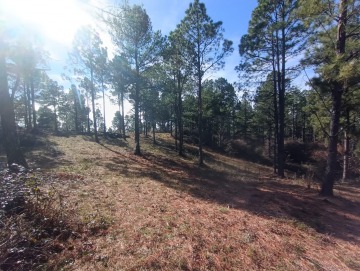 Hermoso terreno de 5000m2. La Cumbrecita.