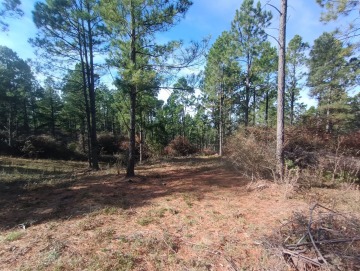 Hermoso terreno de 5000m2. La Cumbrecita.