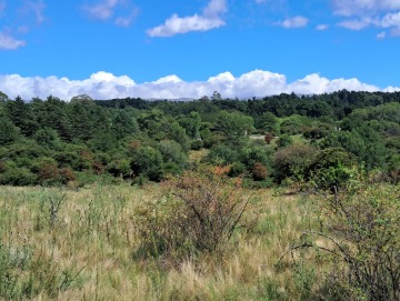 Terreno de 1.96 hectáreas en Villa Berna
